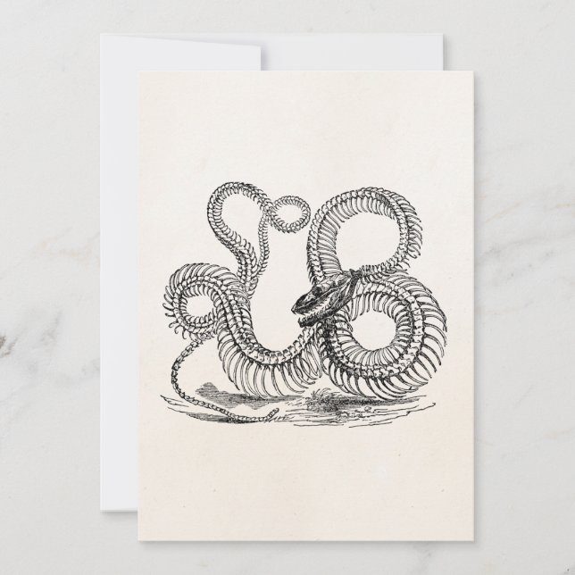 Vintage Boa Snake Skeleton Personlig Template (Framsida)