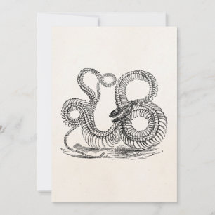 Vintage Boa Snake Skeleton Personlig Template