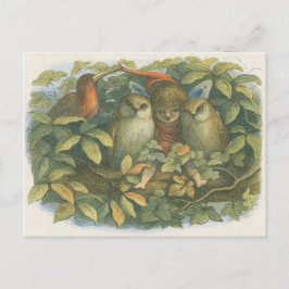 Vintage Bok Illustration of Fairy, Uggla and Bird Vykort