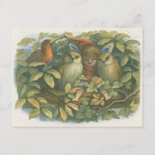 Vintage Bok Illustration of Fairy, Uggla and Bird Vykort