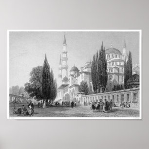 Vintage Bok Illustration Poster