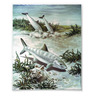 Vintage Bonefish Underwater Scene Fototryck