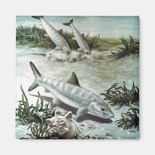 Vintage Bonefish Underwater Scene Magnet (Framsidan)
