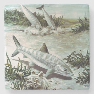 Vintage Bonefish Underwater Scene Stenunderlägg