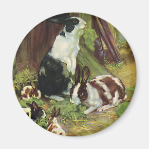 Vintage Boskap, kaniner från sällskapsdjur, uppspe Magnet