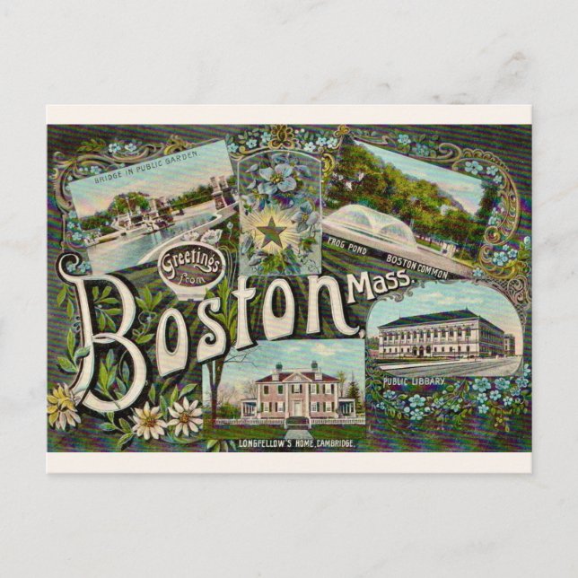 Vintage Boston Frog Pond Vykort (Framsida)