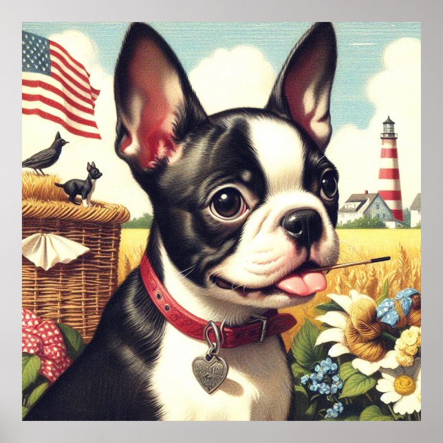 Vintage Boston Terrier Illustration Poster (Framsidan)