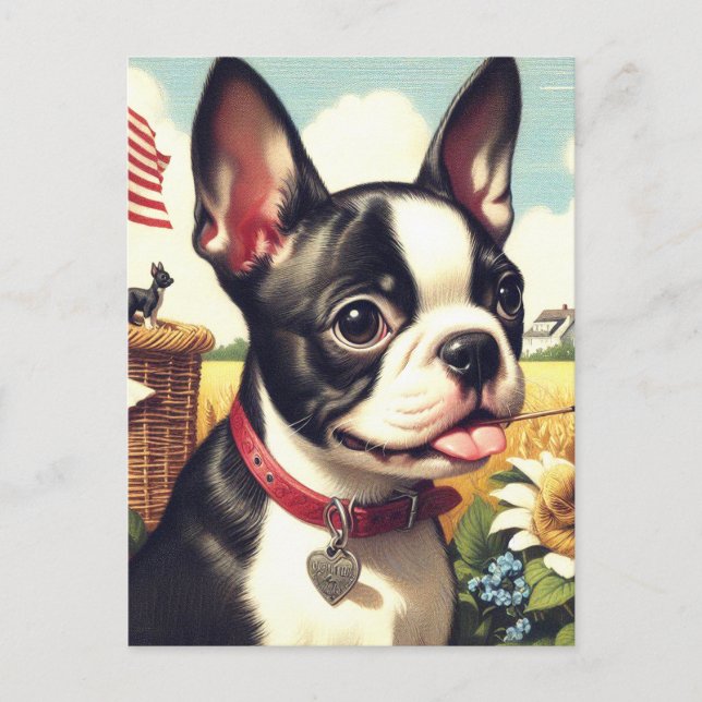 Vintage Boston Terrier Illustration Vykort (Framsida)