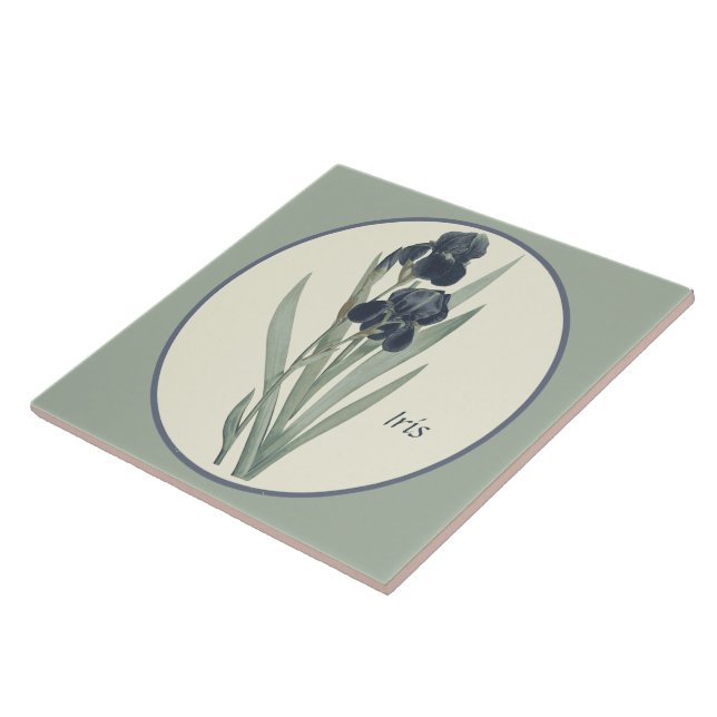 Vintage Botanical Art Iris Blommars Cameo Kakelplatta (Sidan)