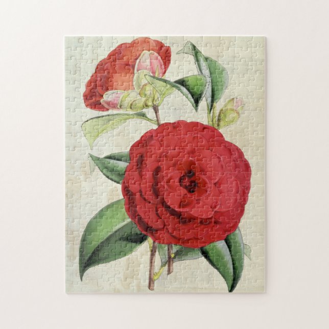 Vintage Botanical Crimson Camellia Pussel (Vertikal)