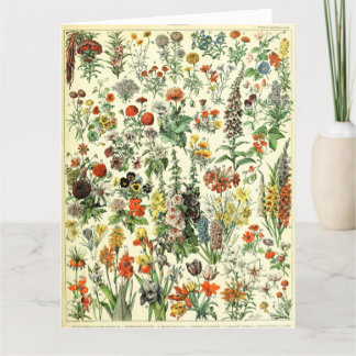 Vintage Botanical Fleurs Poster Postcard Tack Kort