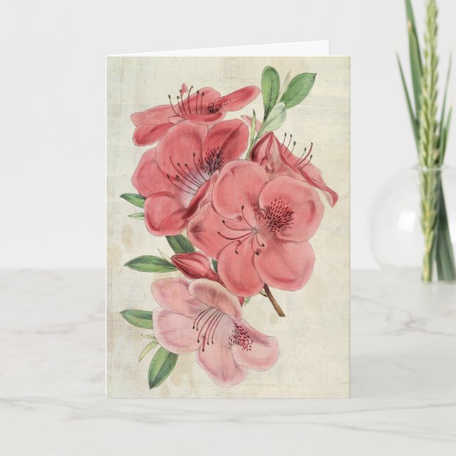 Vintage Botanical Magnet Azalea Kort (Framsida)