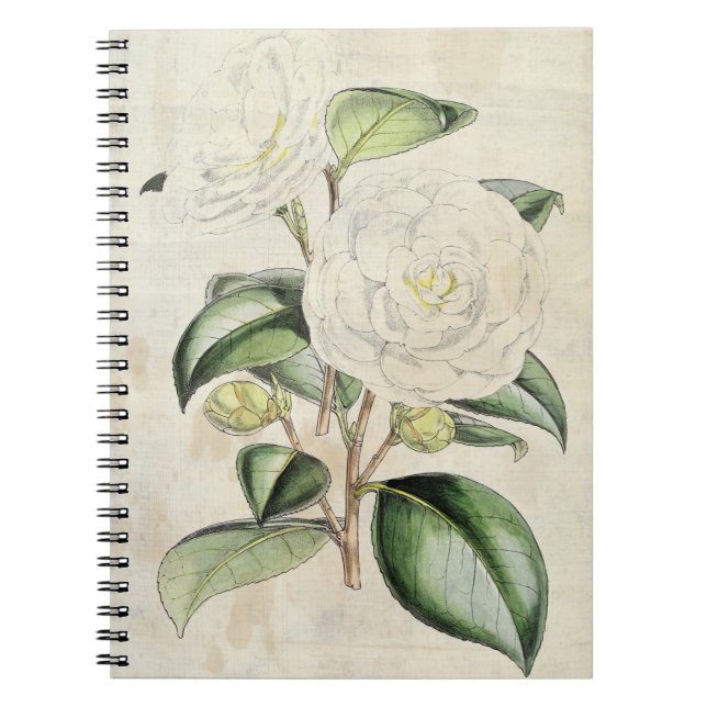 Vintage Botanical Pearl Camellia Anteckningsbok (Framsidan)