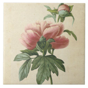Vintage Botanical Peony Kakelplatta