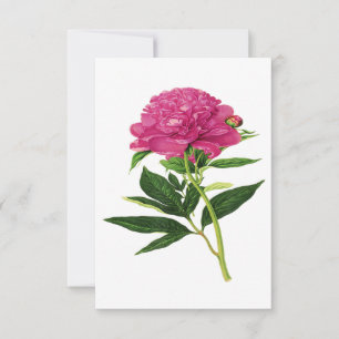 Vintage Botanical Print, Fuchsia Pink Peony Tack Kort