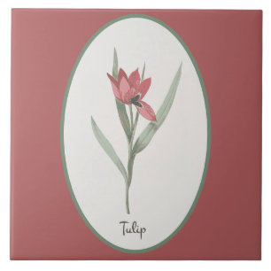 Vintage Botanical Tulip Flower Cameo on Rosa Kakelplatta