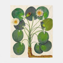 Vintage Botanical Waterlily Fleece Blanket