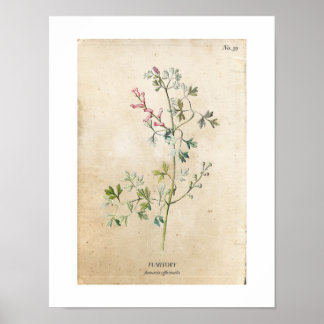 Vintage Botanical Wildblomma Poster