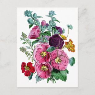 Vintage Botanicals Illustrations Hollyhocks Vykort