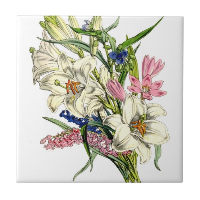 Vintage Botanicals Illustrations Kakelplatta (Framsidan)