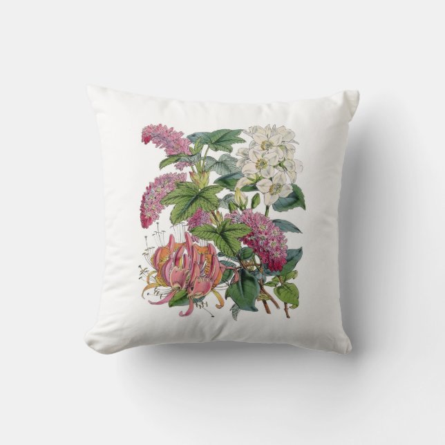 Vintage Botanicals Illustrations Kudde (Framsida)