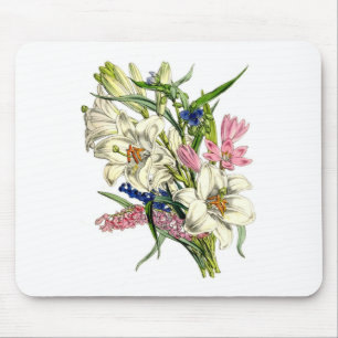Vintage Botanicals Illustrations Musmatta