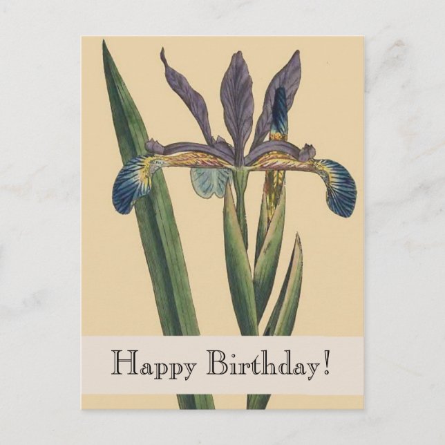 Vintage Botanicals Iris Birthday Postcard Vykort (Framsida)