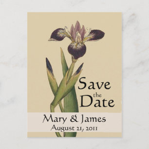 Vintage Botanicals Iris Spara datum vykort