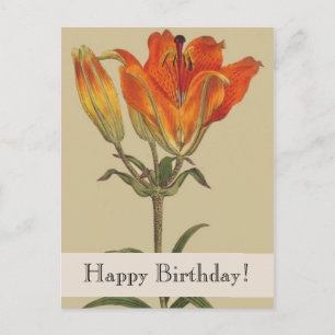 Vintage Botanicals Lily Grattis på födelsedagen vy Vykort