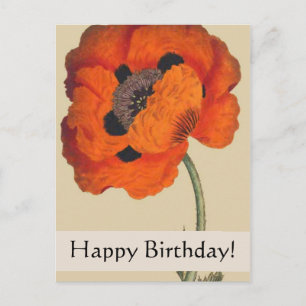 Vintage Botanicals Poppy Birthday Card Vykort