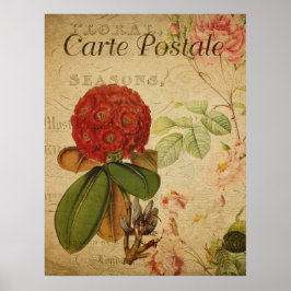 Vintage Botanisk Affisch - Rhododenron