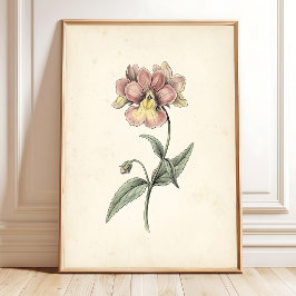 Vintage Botanisk Antik Väggkonsttryck Poster