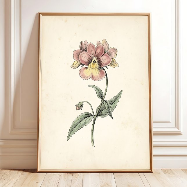 Vintage Botanisk Antik Väggkonsttryck Poster (Skapare uppladdad)