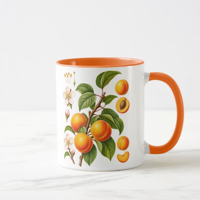 Vintage botanisk aprikosillustration mugg (Höger)