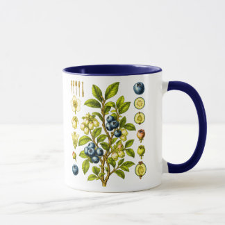 Vintage botanisk blåbärsillustration mugg