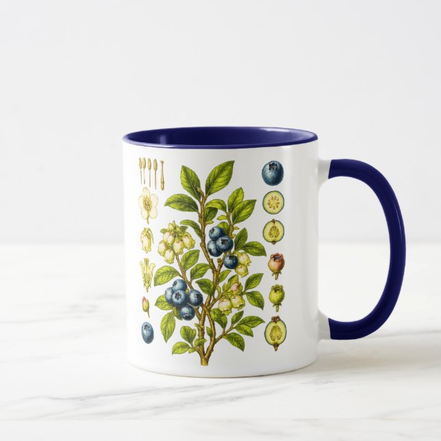 Vintage botanisk blåbärsillustration mugg (Höger)