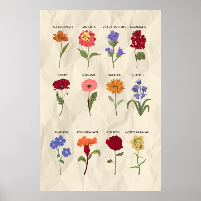Vintage Botanisk Blommigt Art Poster (Framsidan)