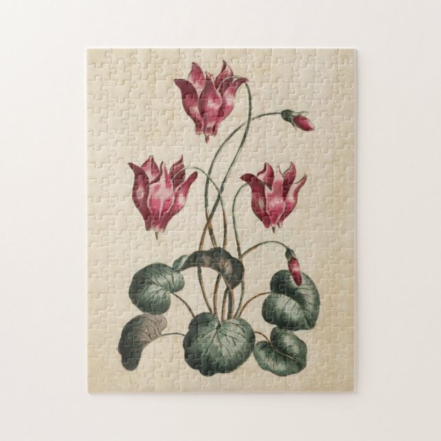Vintage Botanisk Blommigt Cyclamen Pussel (Vertikal)