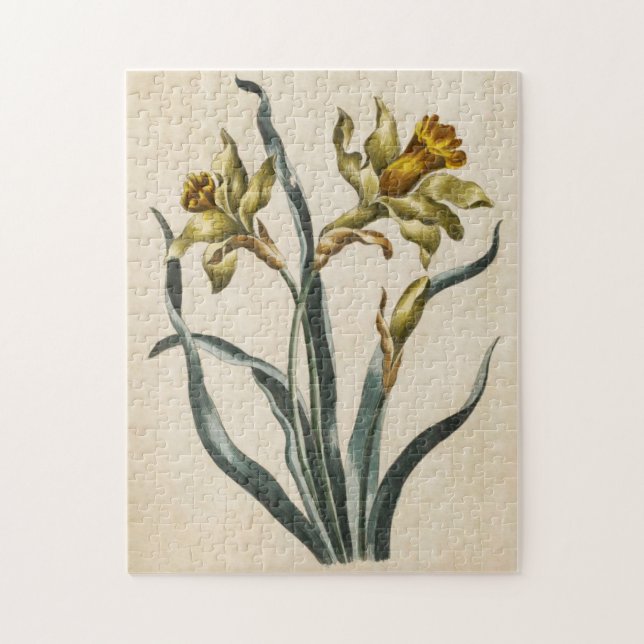 Vintage Botanisk Blommigt Daffodil Pussel (Vertikal)