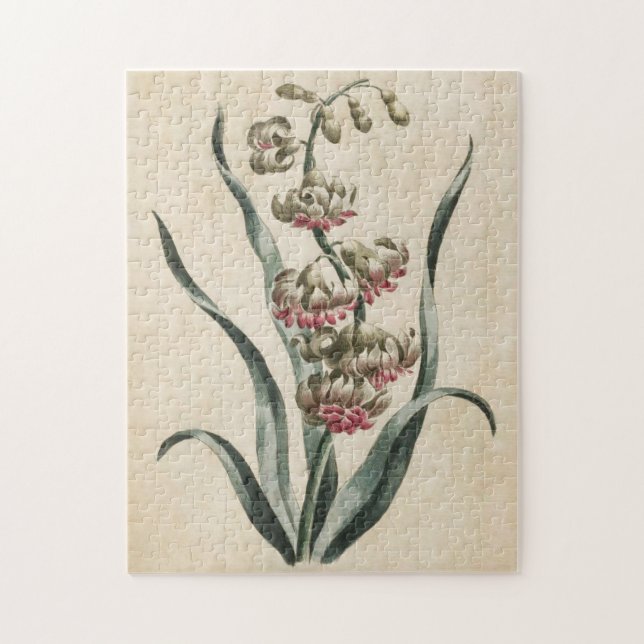Vintage Botanisk Blommigt Hyacint Pussel (Vertikal)
