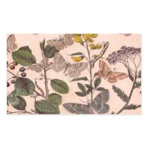 Vintage Botanisk Blommigt Illustration Wildblommor