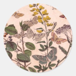 Vintage Botanisk Blommigt Illustration Wildblommor Runt Klistermärke