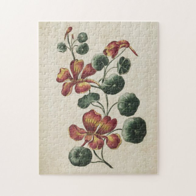 Vintage Botanisk Blommigt Nasturtium Pussel (Vertikal)