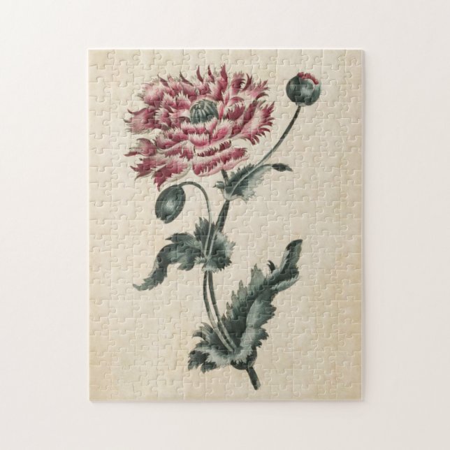 Vintage Botanisk Blommigt Poppy Pussel (Vertikal)
