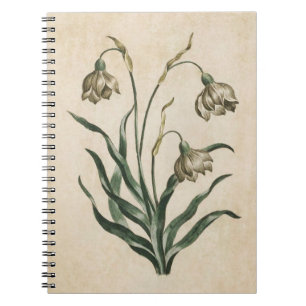 Vintage Botanisk Blommigt - Snödroppbild Anteckningsbok
