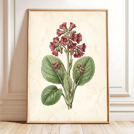 Vintage botanisk bondgård väggdekor - Antik B Poster