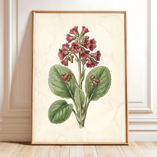 Vintage botanisk bondgård väggdekor - Antik B Poster