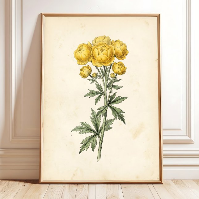 Vintage botanisk canvas väggkonsttryck poster (Skapare uppladdad)