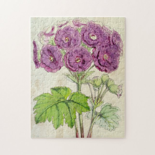 Vintage Botanisk Dubbla Fringed Chinese Primrose Pussel (Vertikal)