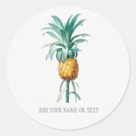 VINTAGE BOTANISK ENVELOPFÖRSEGLAD MED PINEAPPLE RUNT KLISTERMÄRKE